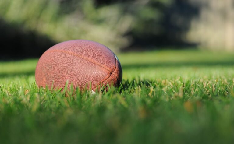 Fantasy Sports